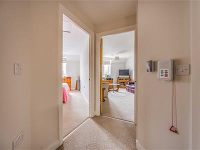 Picture 7